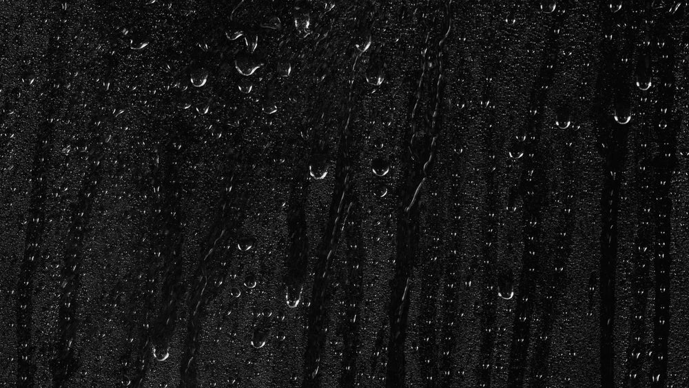 Chlorine shower filter